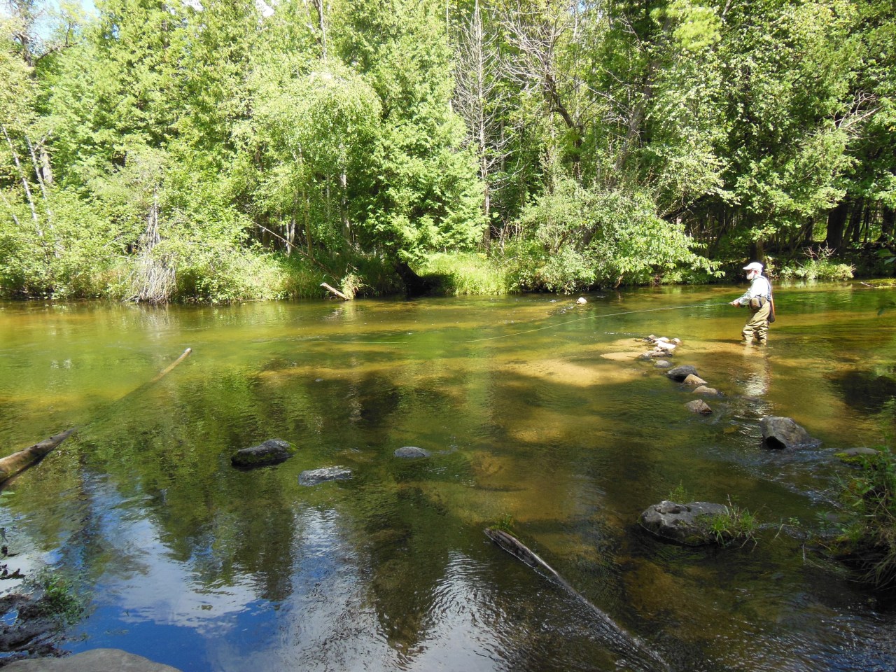 Fishing the Manistee